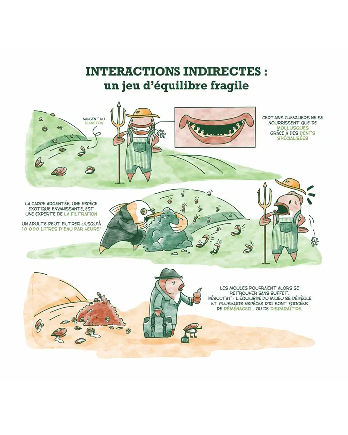Interactions indirectes
