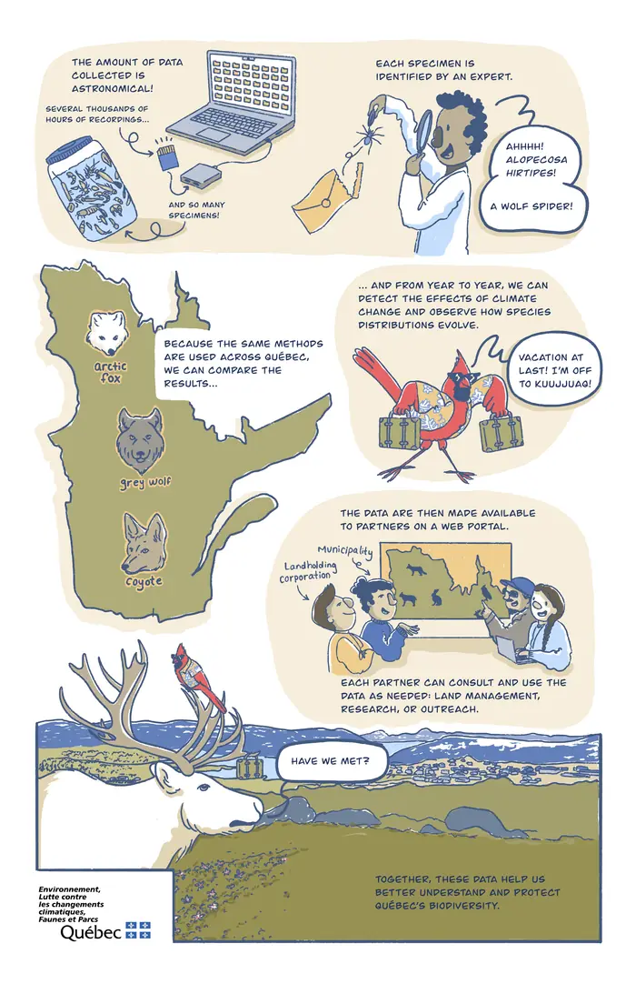 Le territoire nous parle, planche 2