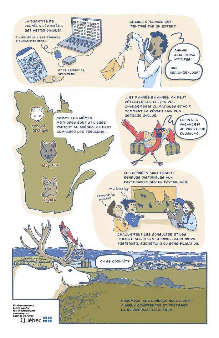 Le territoire nous parle, planche 2