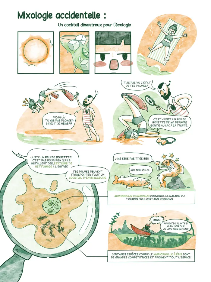 Mixologie accidentelle, planche 1
