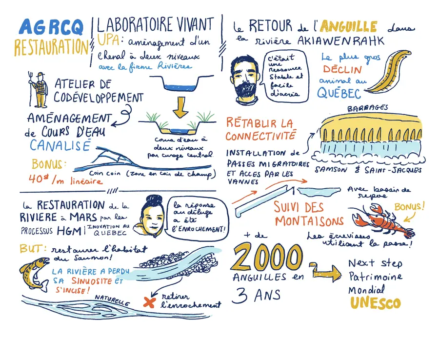 Restauration : du saumon à l’anguille (Congrès de l’AGRCQ)