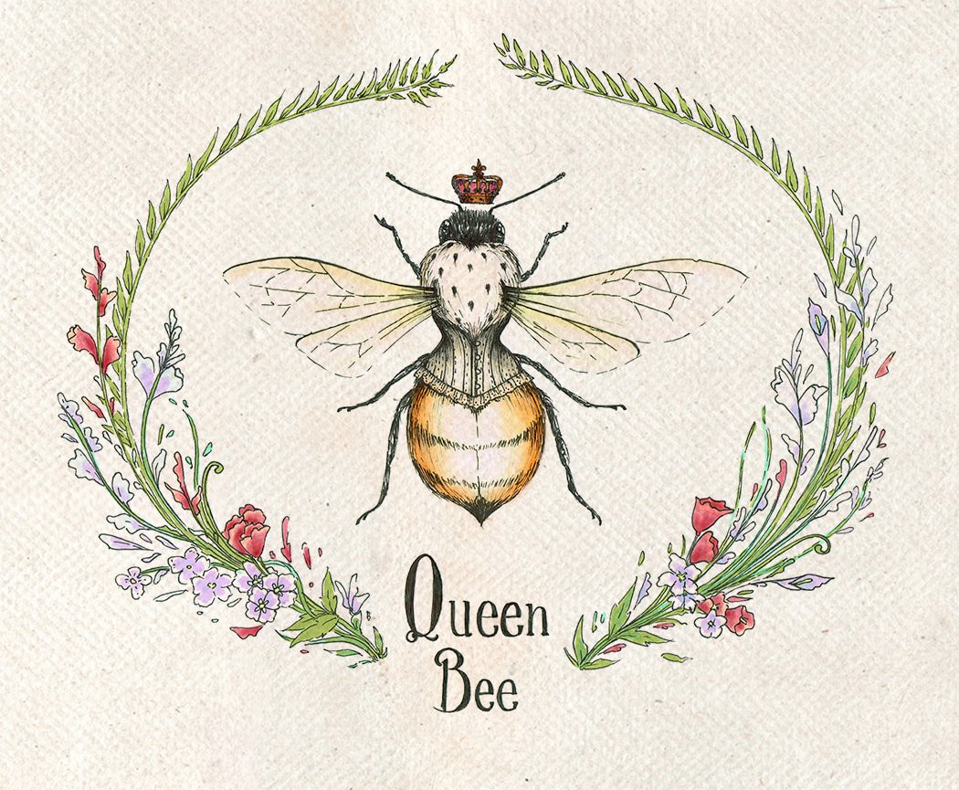 Queen Bee — étude entomologique à l’encre et à l’aquarelle